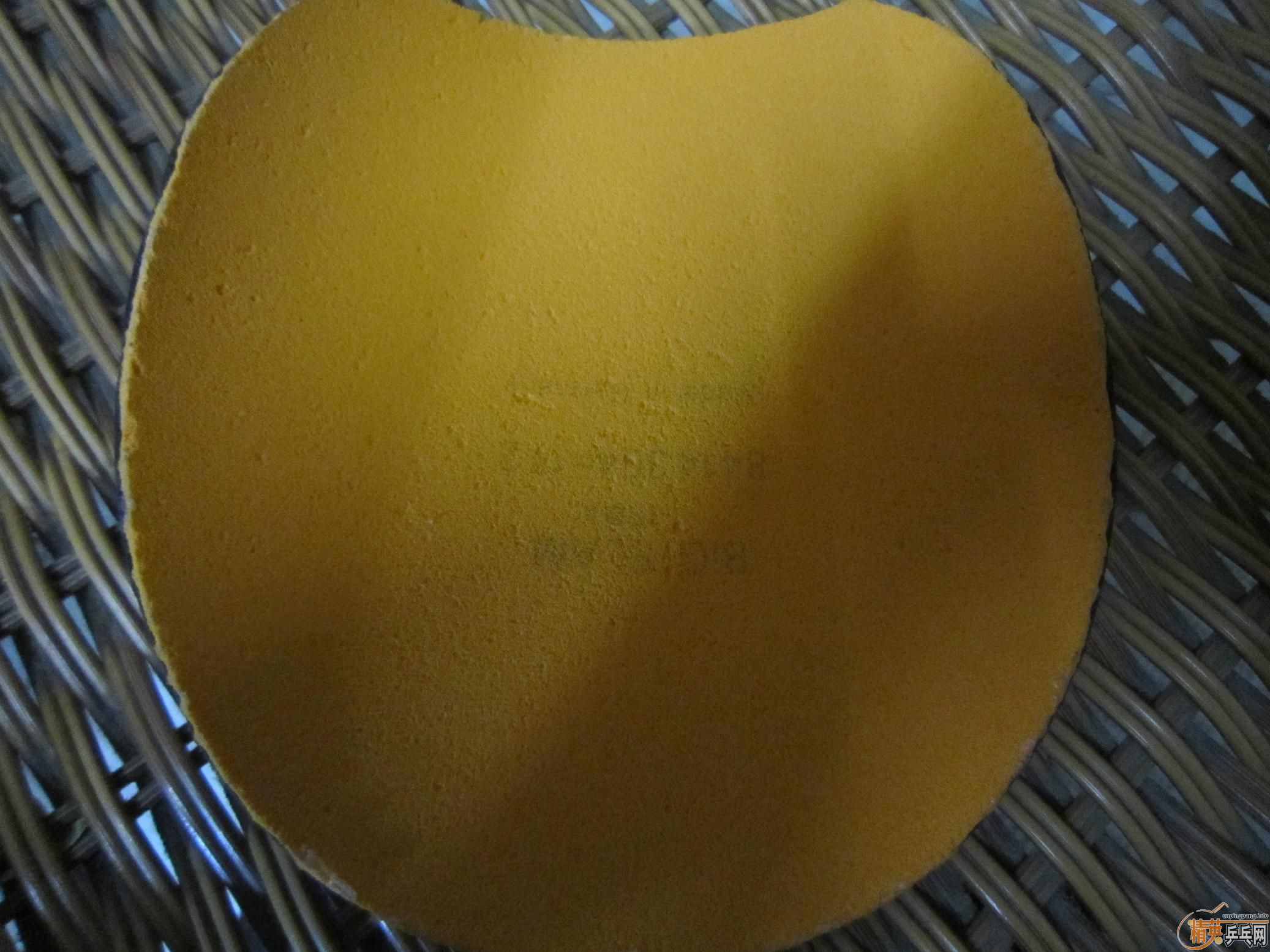 ���ѳ�������ɫ��װ��������ɫ�׽�