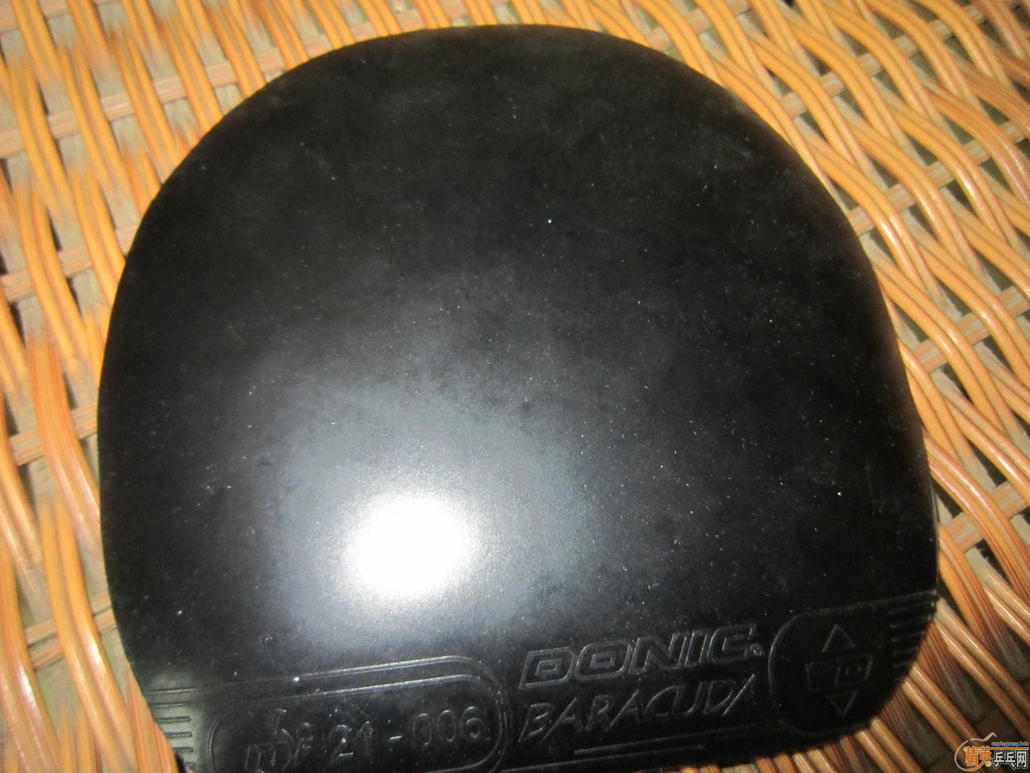 ���ѳ�������ɫ��װ��������ɫ�׽�