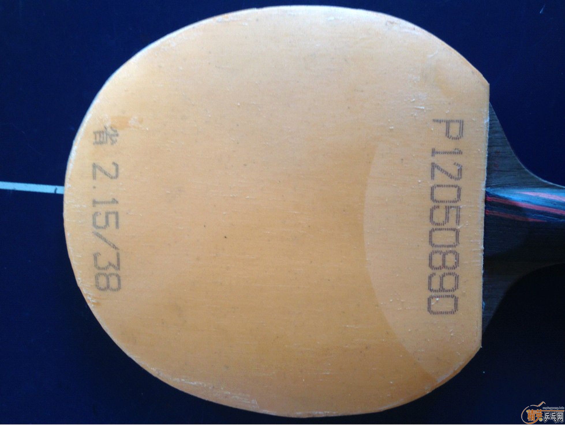 �����ε�38�����ʡ�񡣡�������������������������