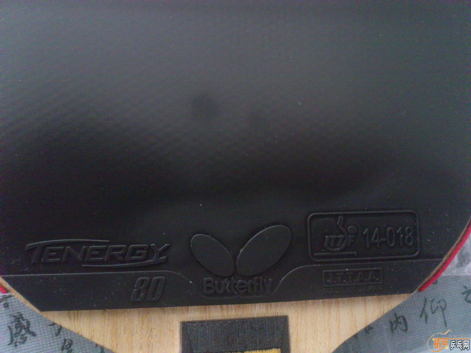 T80  1.9  ��ɫ ��ɫ���� ����G3 FX  SRIVE FX ϸ��õ��5  ľ����