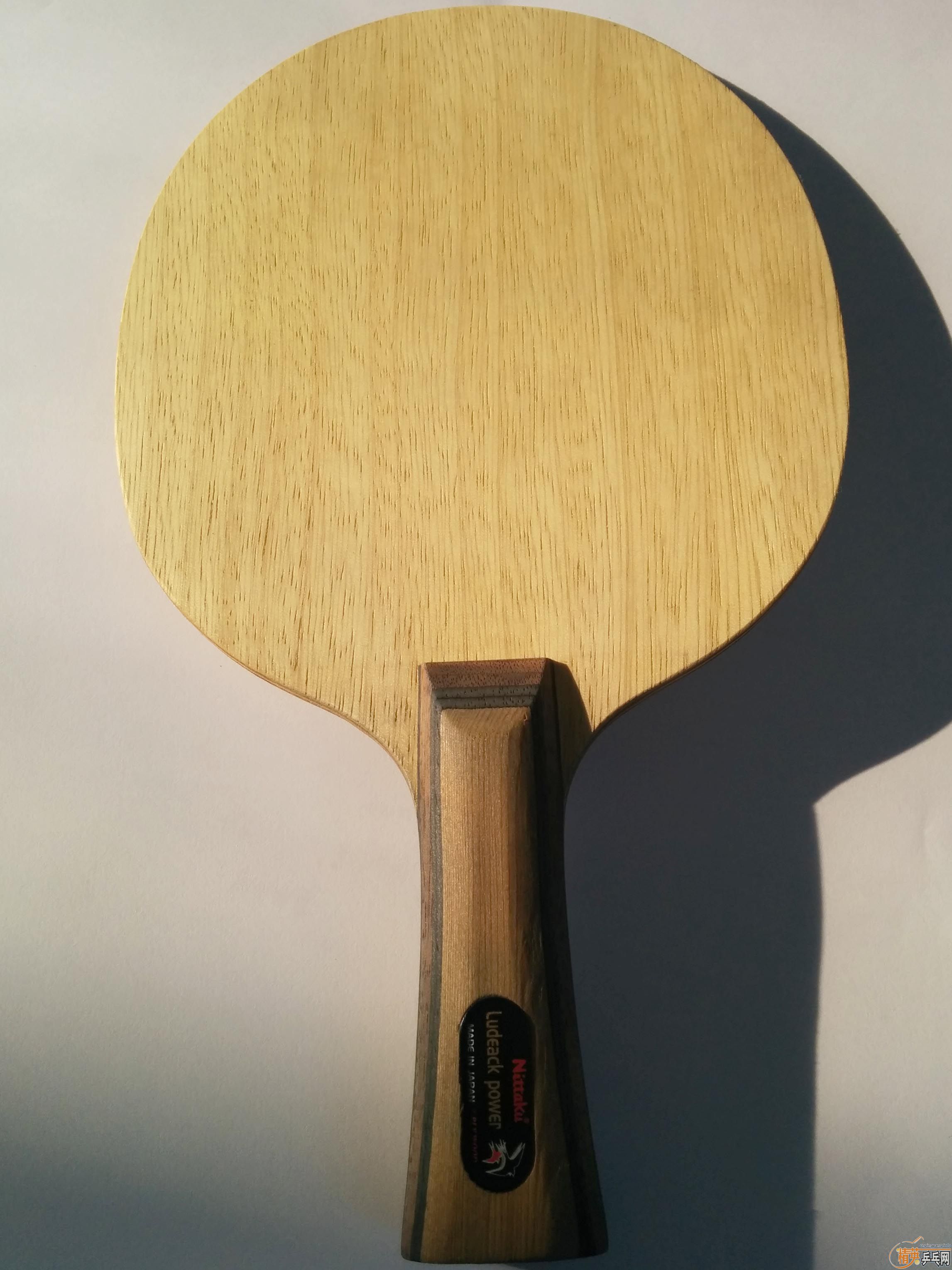 ���˳����������ִ���