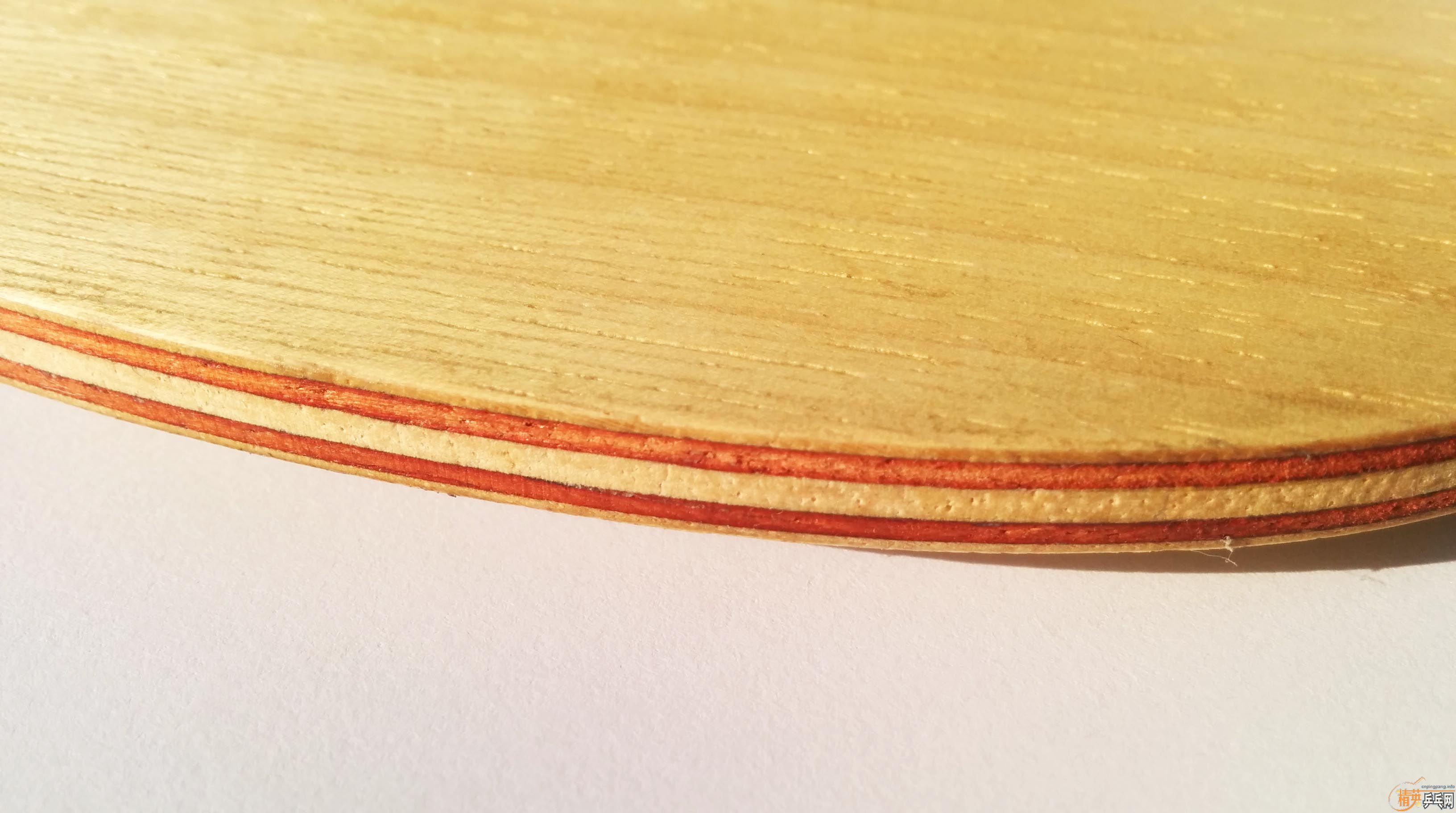 ���˳����������ִ���