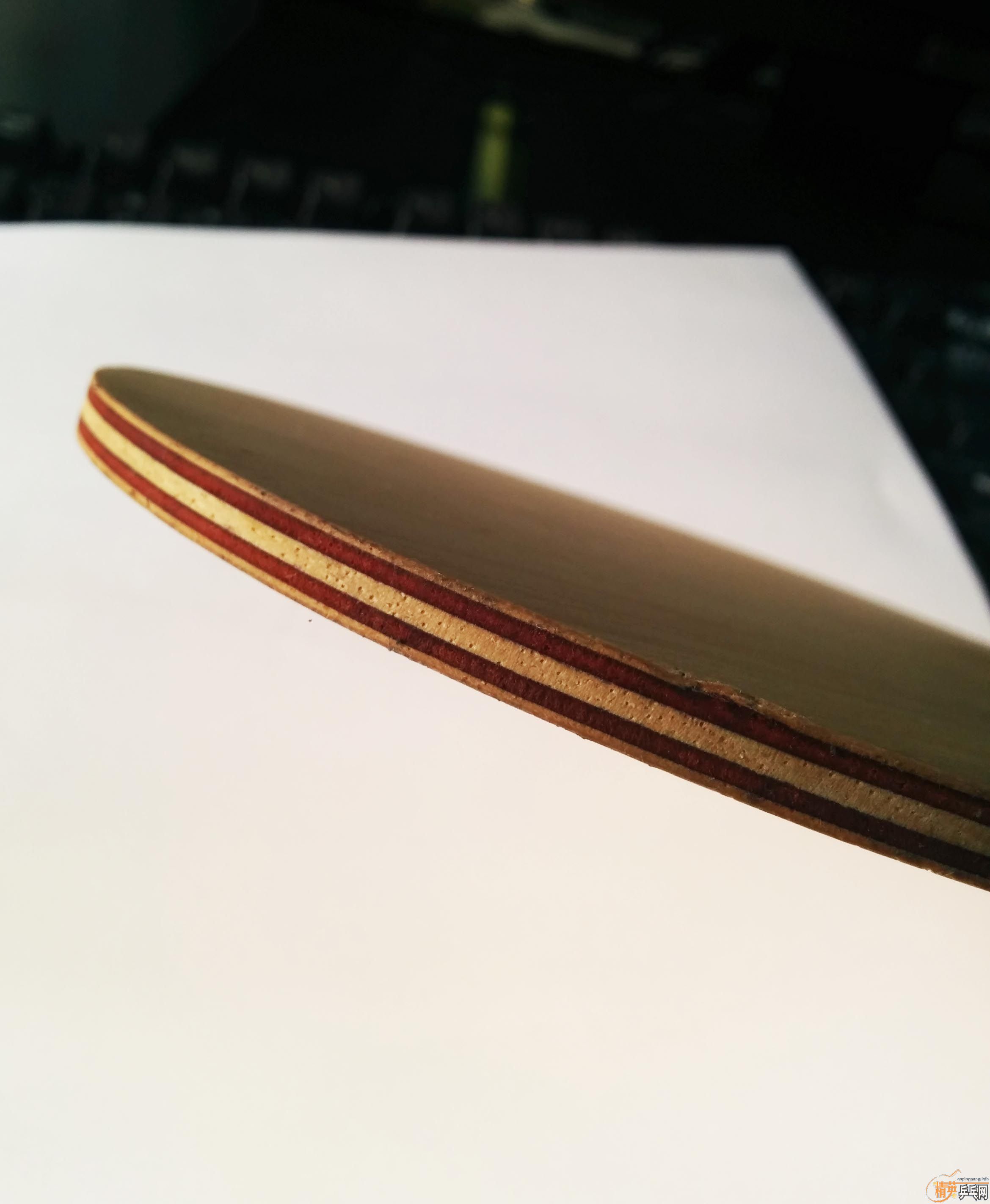 ���˳����������ִ���