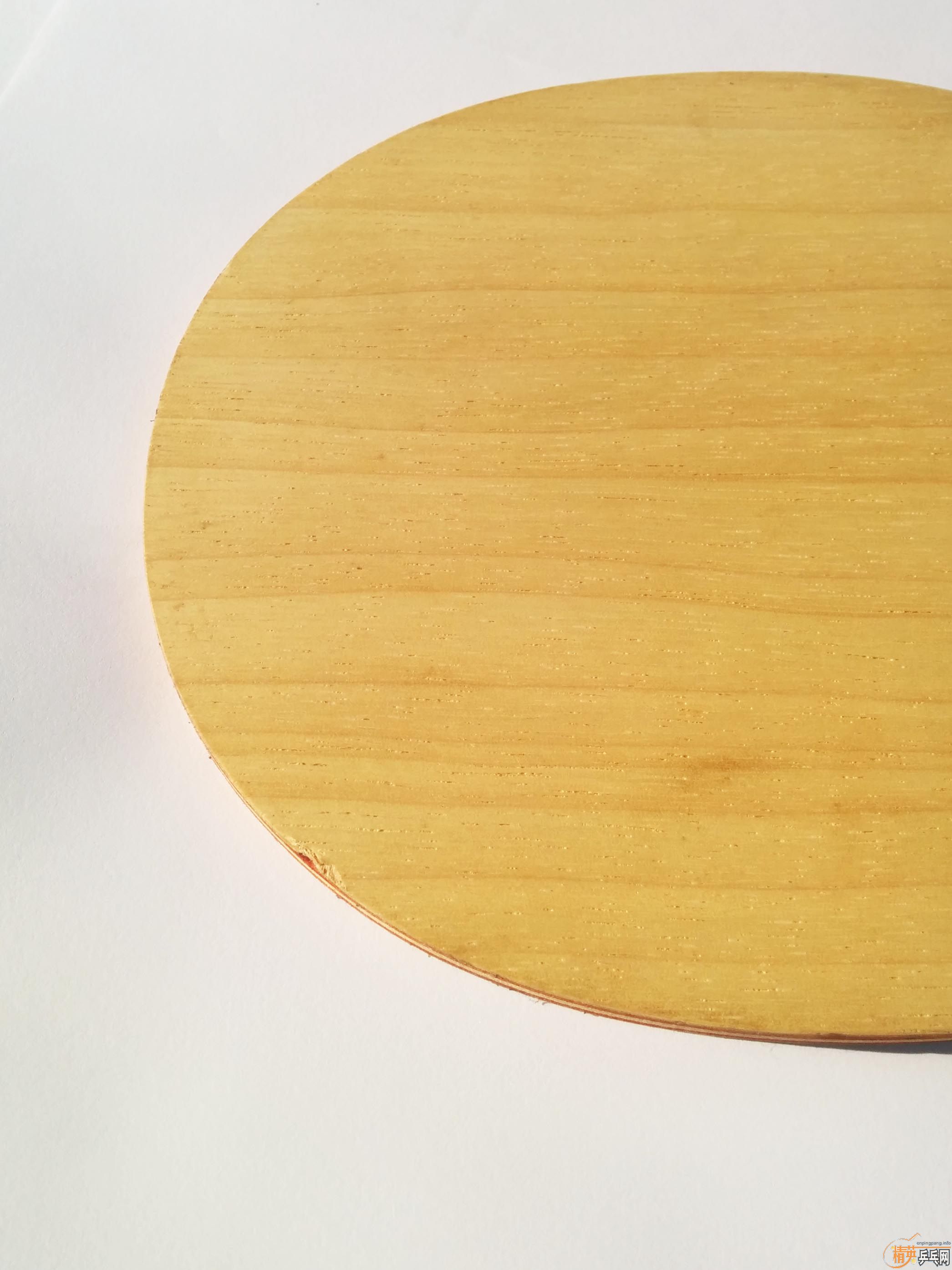 ���˳����������ִ���