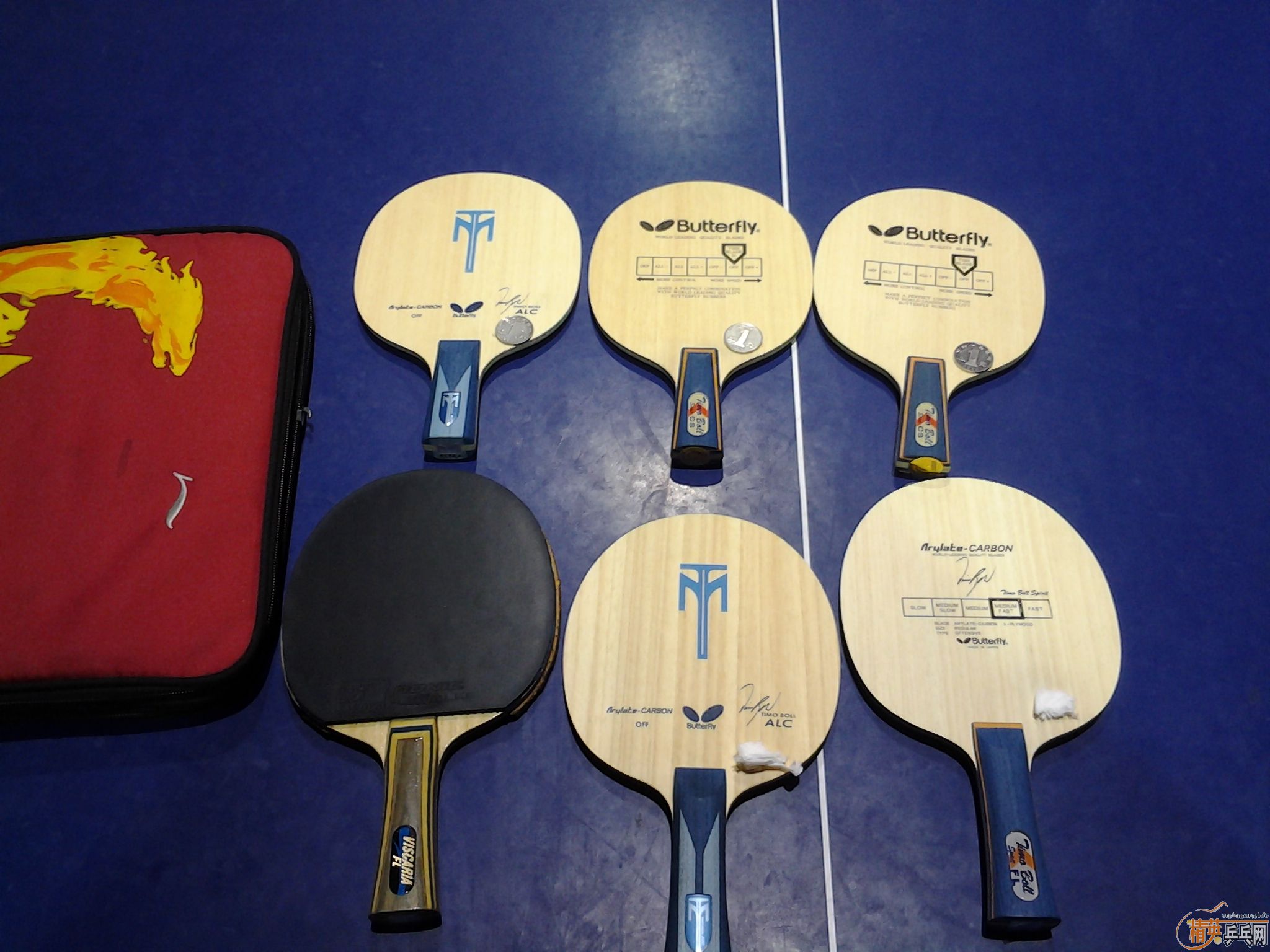 2014 �ͻ� �������� ALC С����� �Ͻ����ְ� ���˾�û���˰�