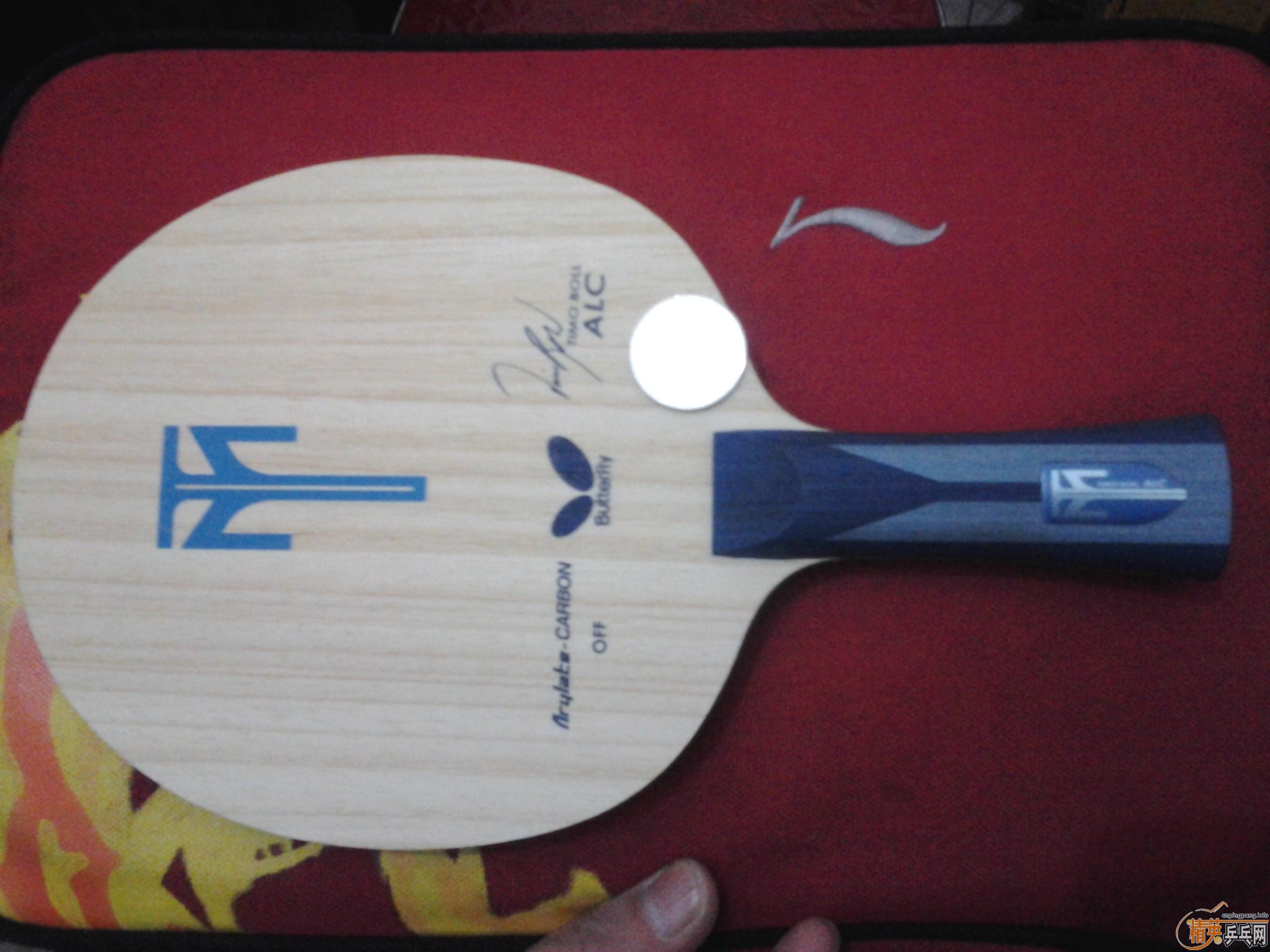 2014 �ͻ� �������� ALC С����� �Ͻ����ְ� ���˾�û���˰�