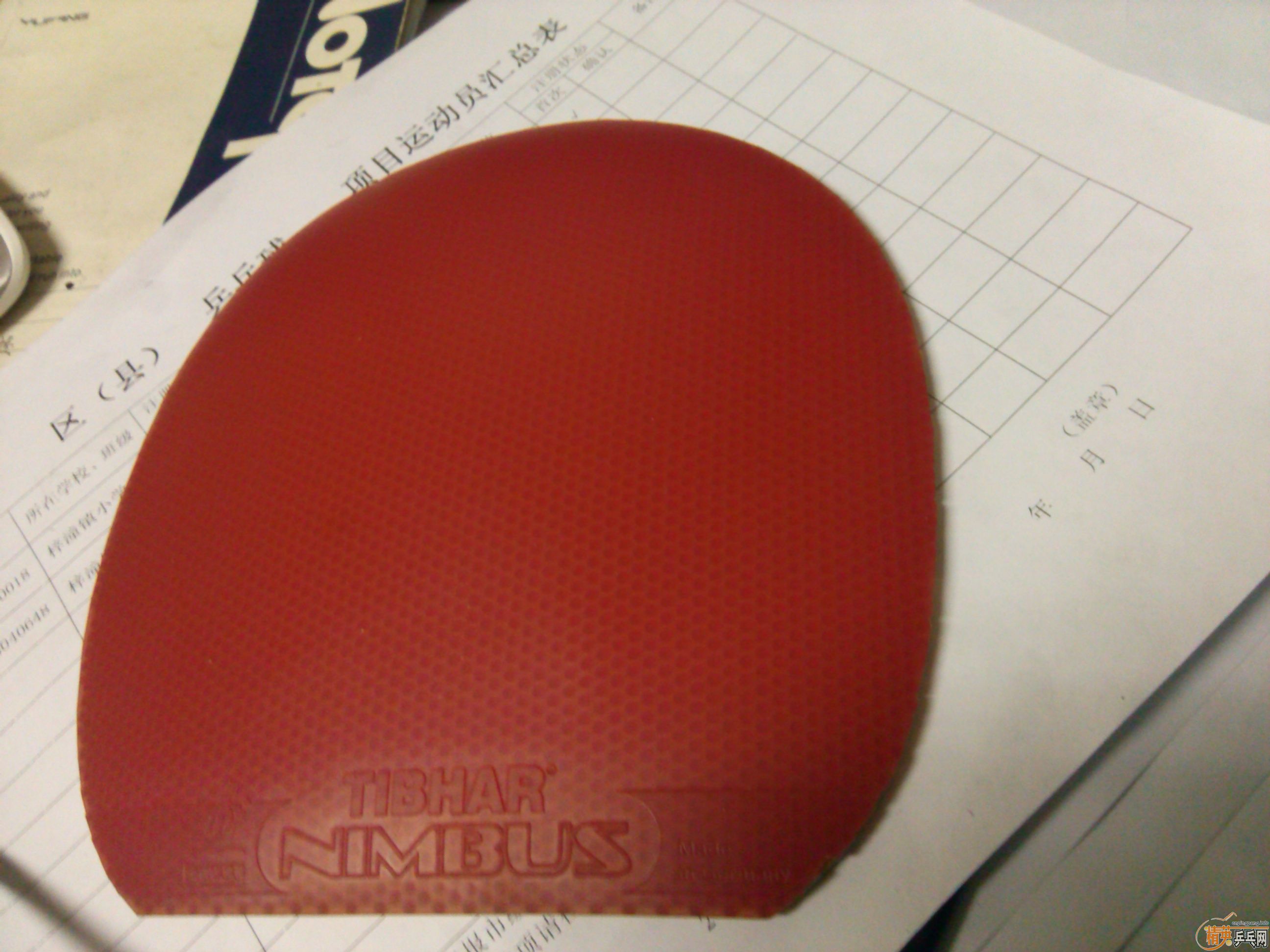 neo����3 ����ʡ��3����nimbus vip��������flextra���������v����388c-1