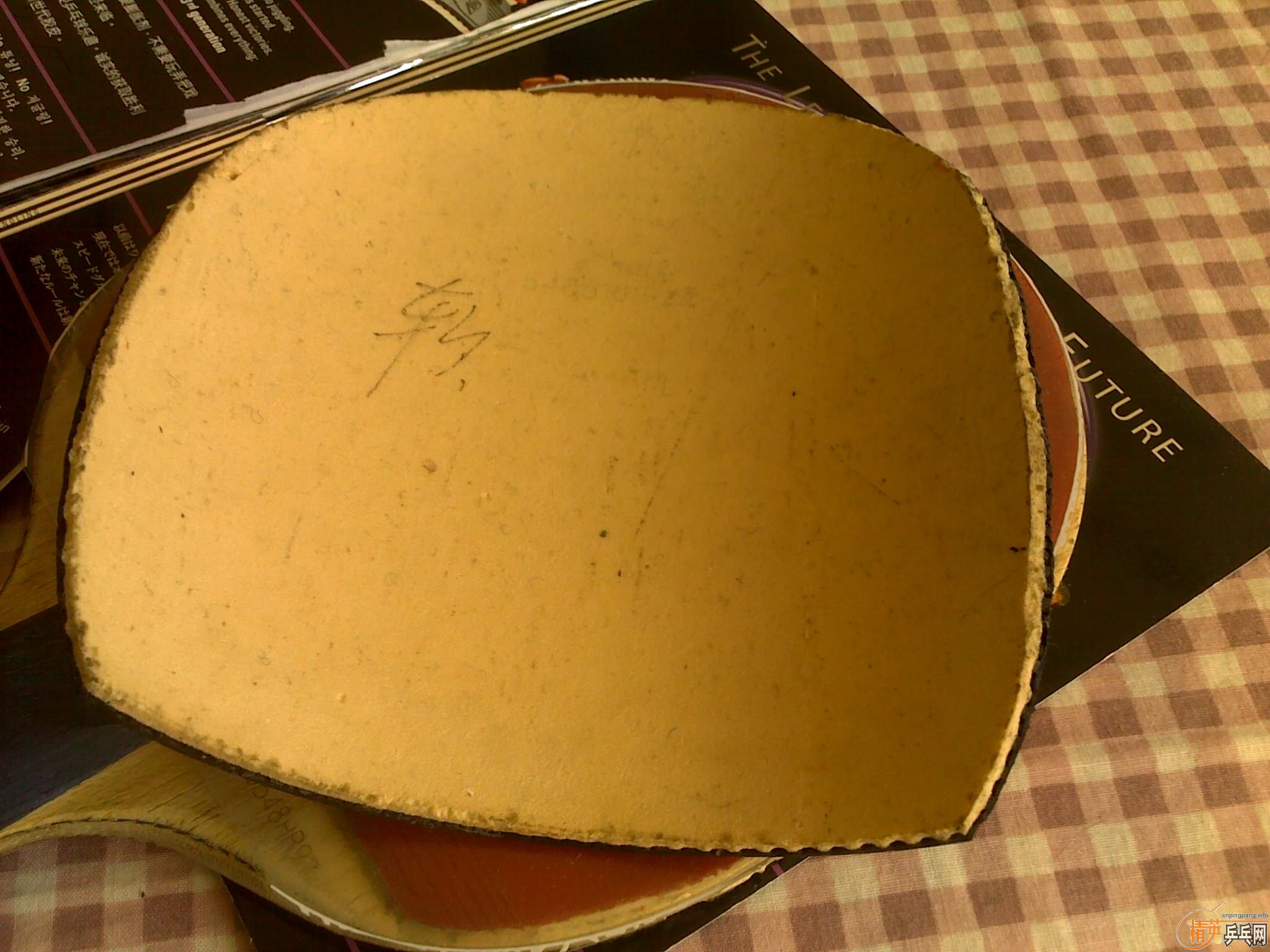 ֱ�����ɫS1------------------------------------------------------δ��10�깩�ձ��г�ʡ��