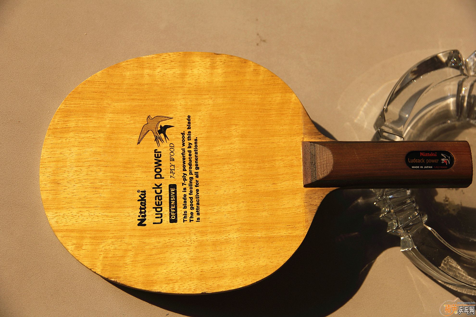 ��������Բ��ST�����������YE