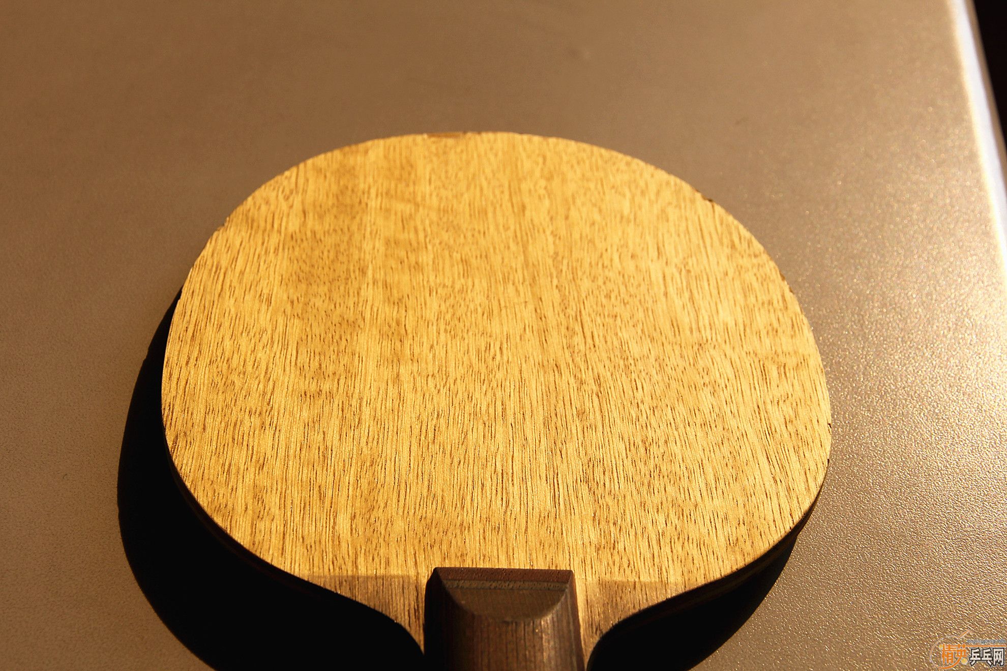 ��������Բ��ST�����������YE