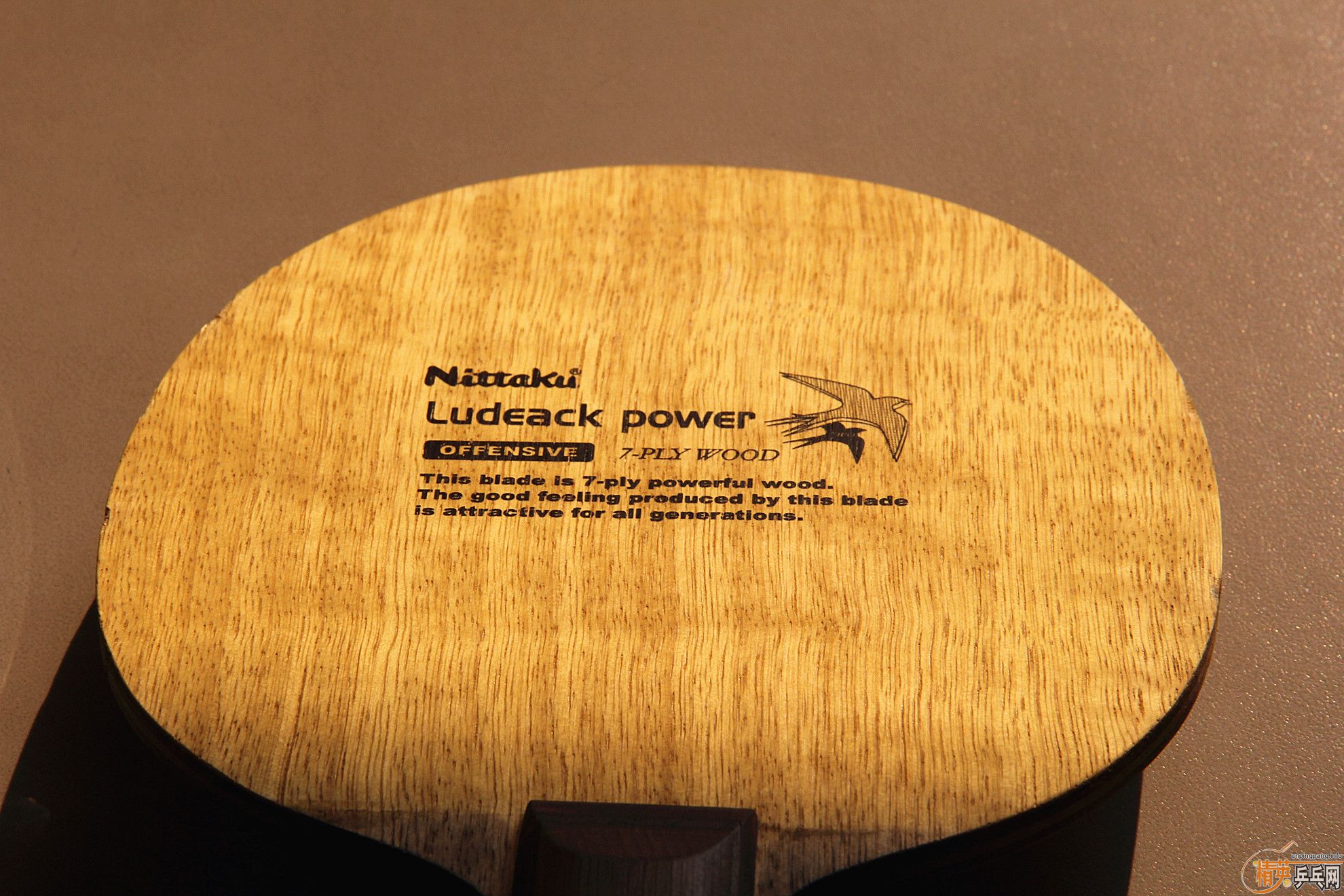 ��������Բ��ST�����������YE