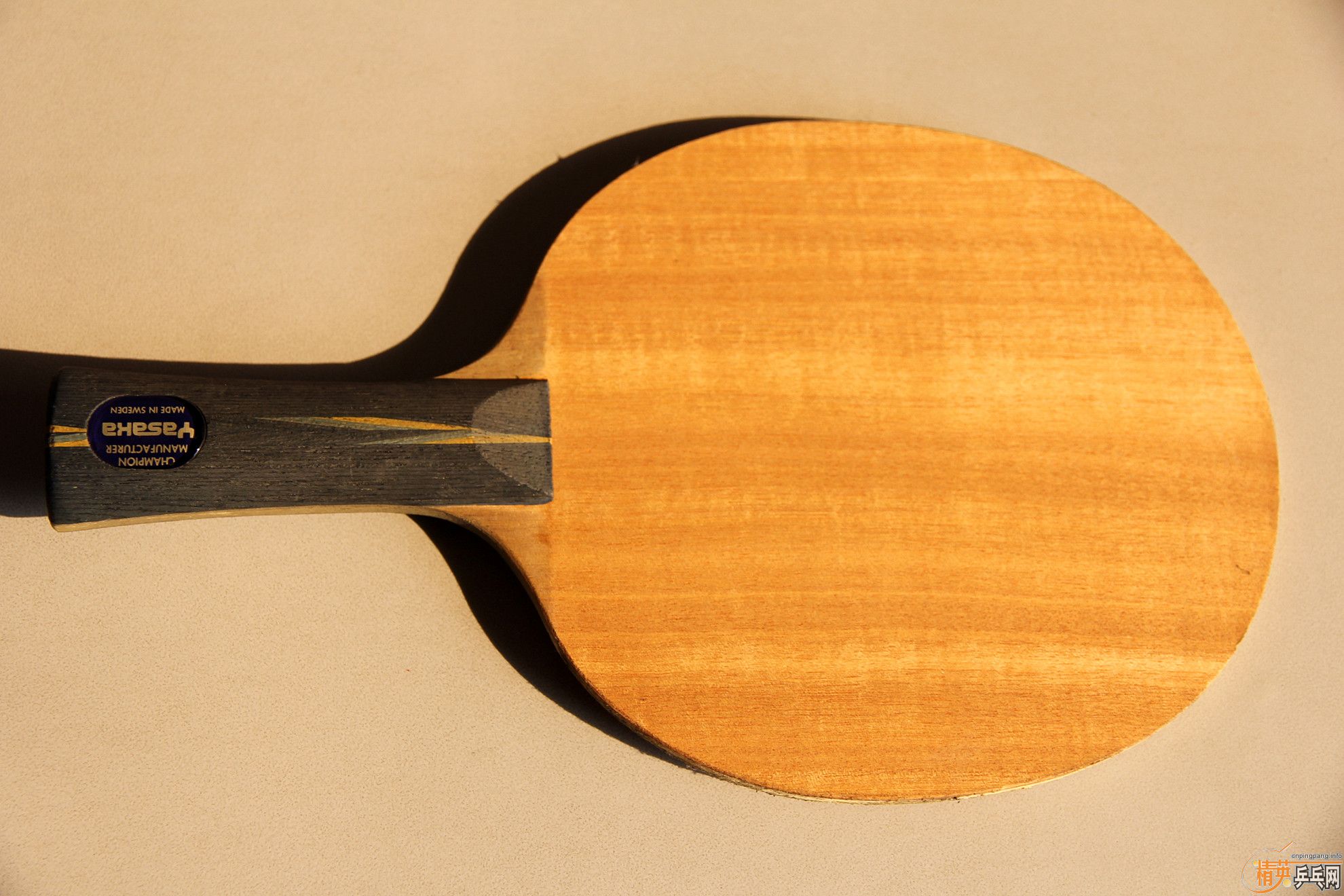 ��������Բ��ST�����������YE