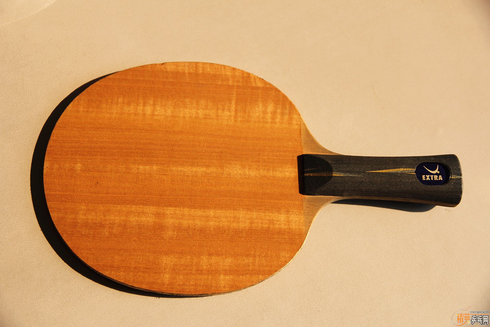 ��������Բ��ST�����������YE