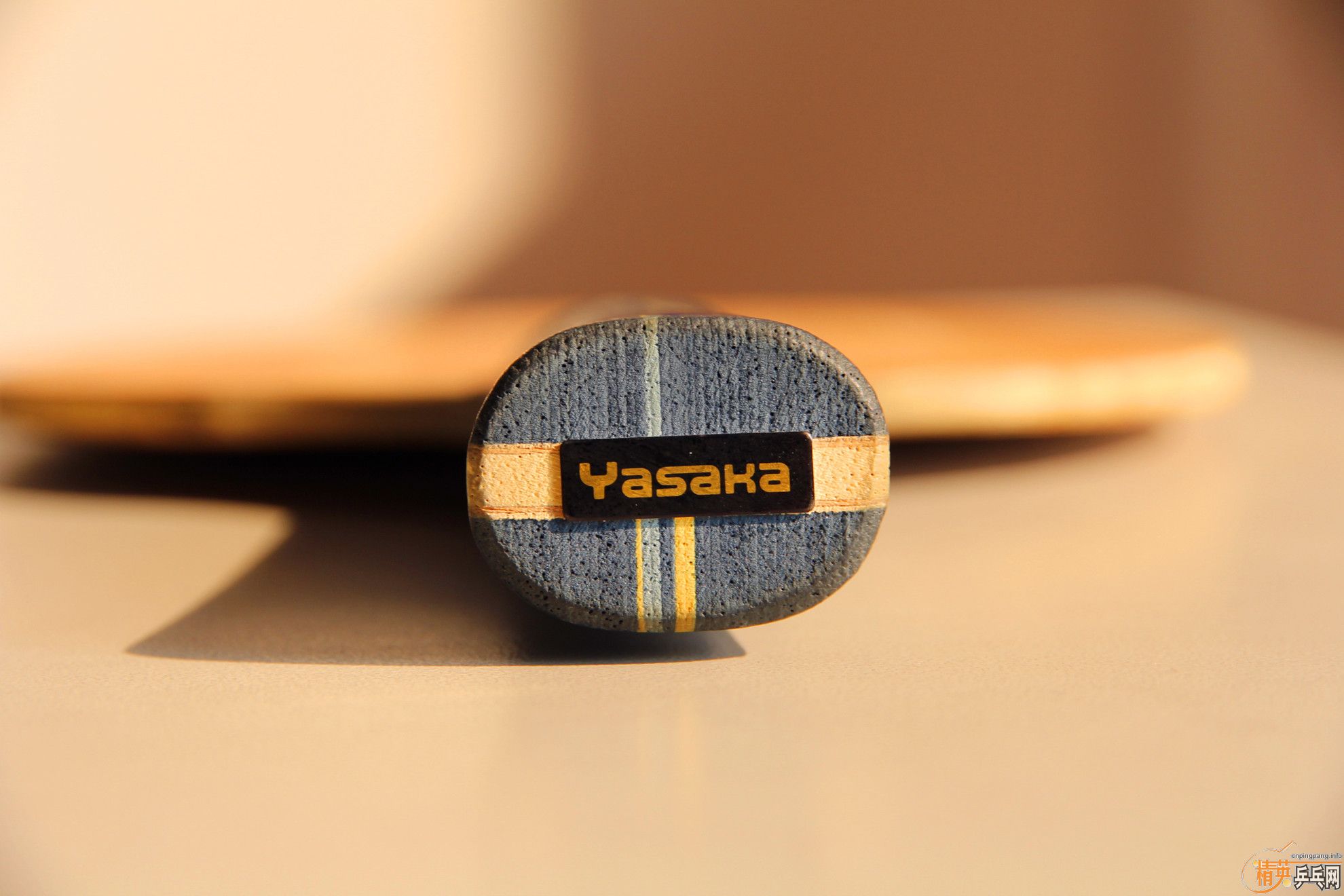 ��������Բ��ST�����������YE