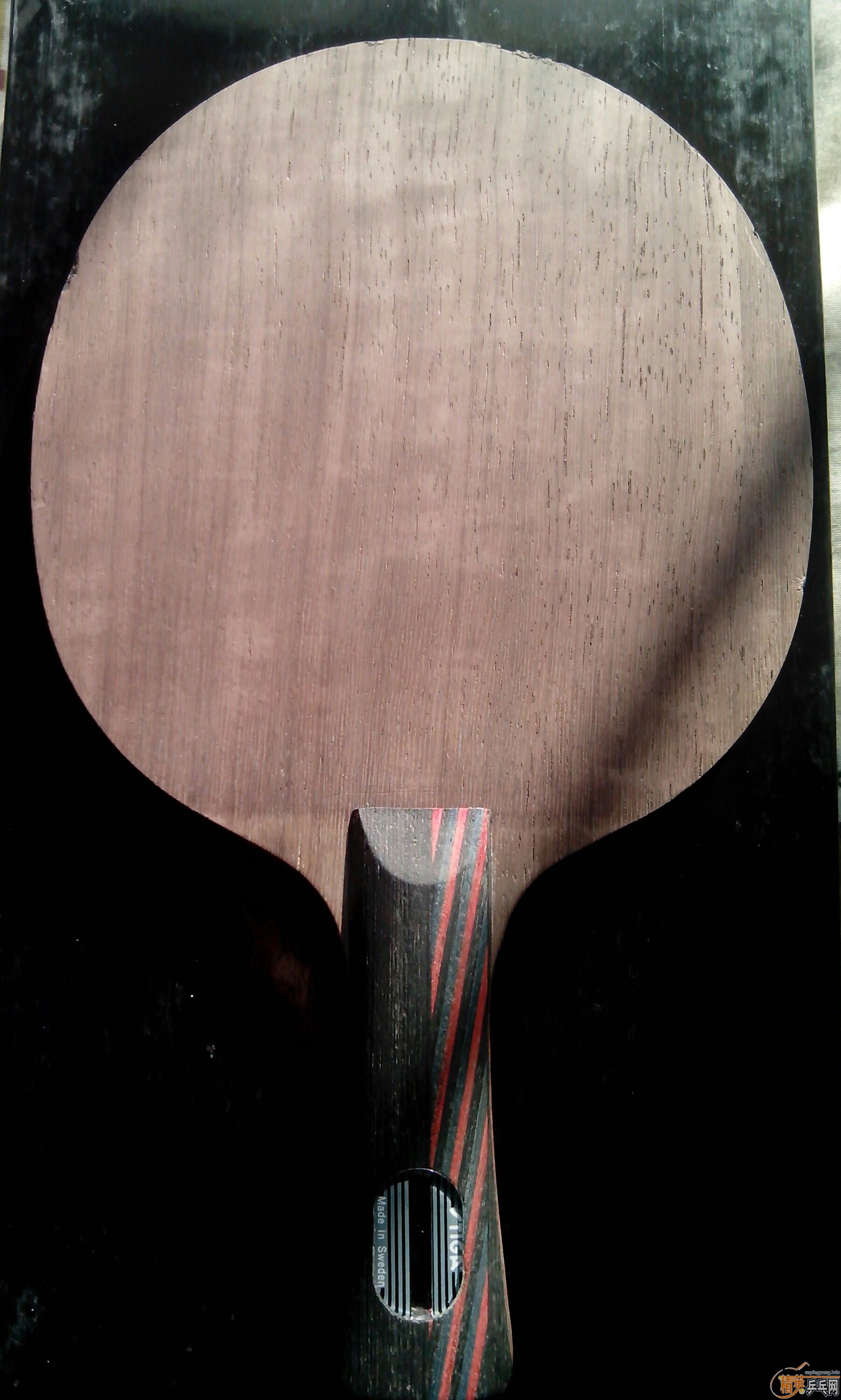 9�º���л�350���տ�  ����