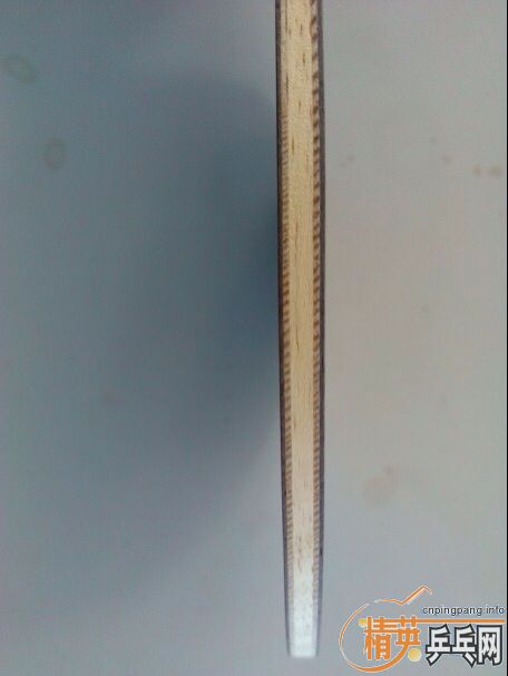 ��׳���˫����������n655