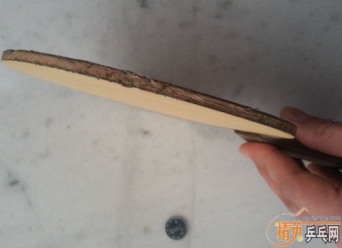 ����ά˹������