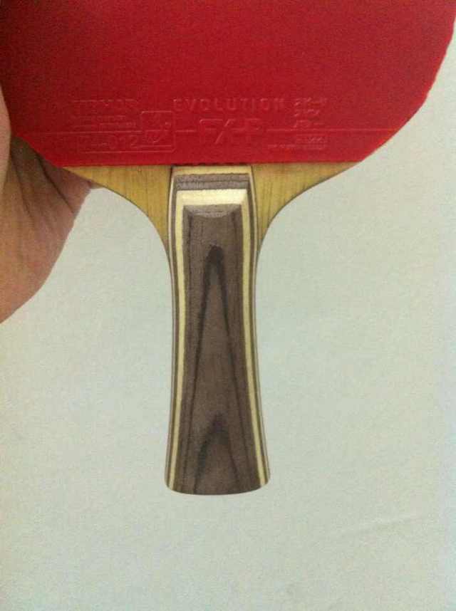 350��9���¿Ʊ���FL