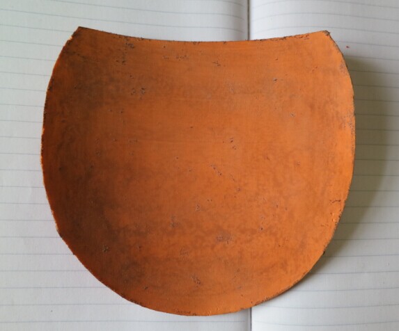 �ײ˼�һ��ճ���������Ŵ��-VION-S  60����