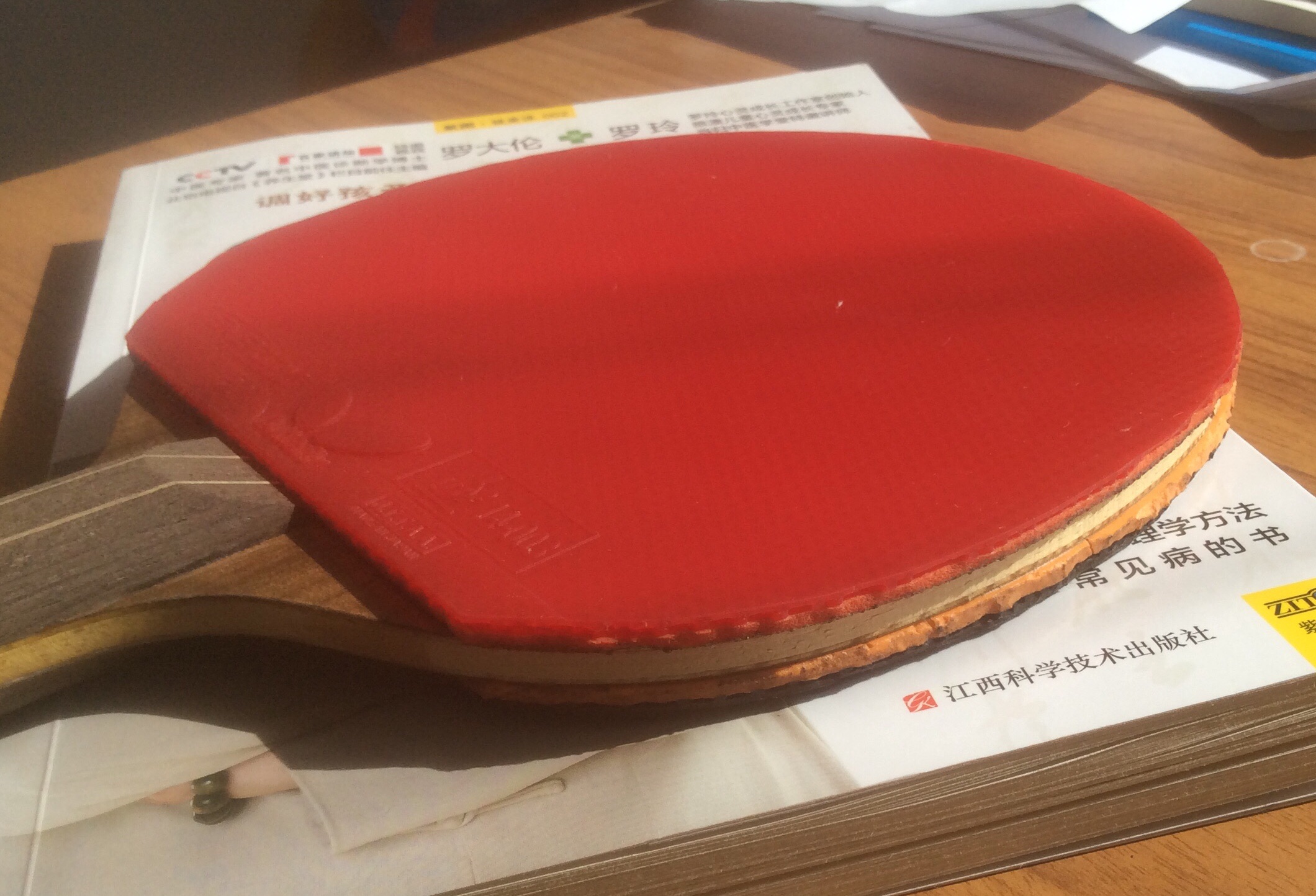 ���հ漫ǿ��ľ