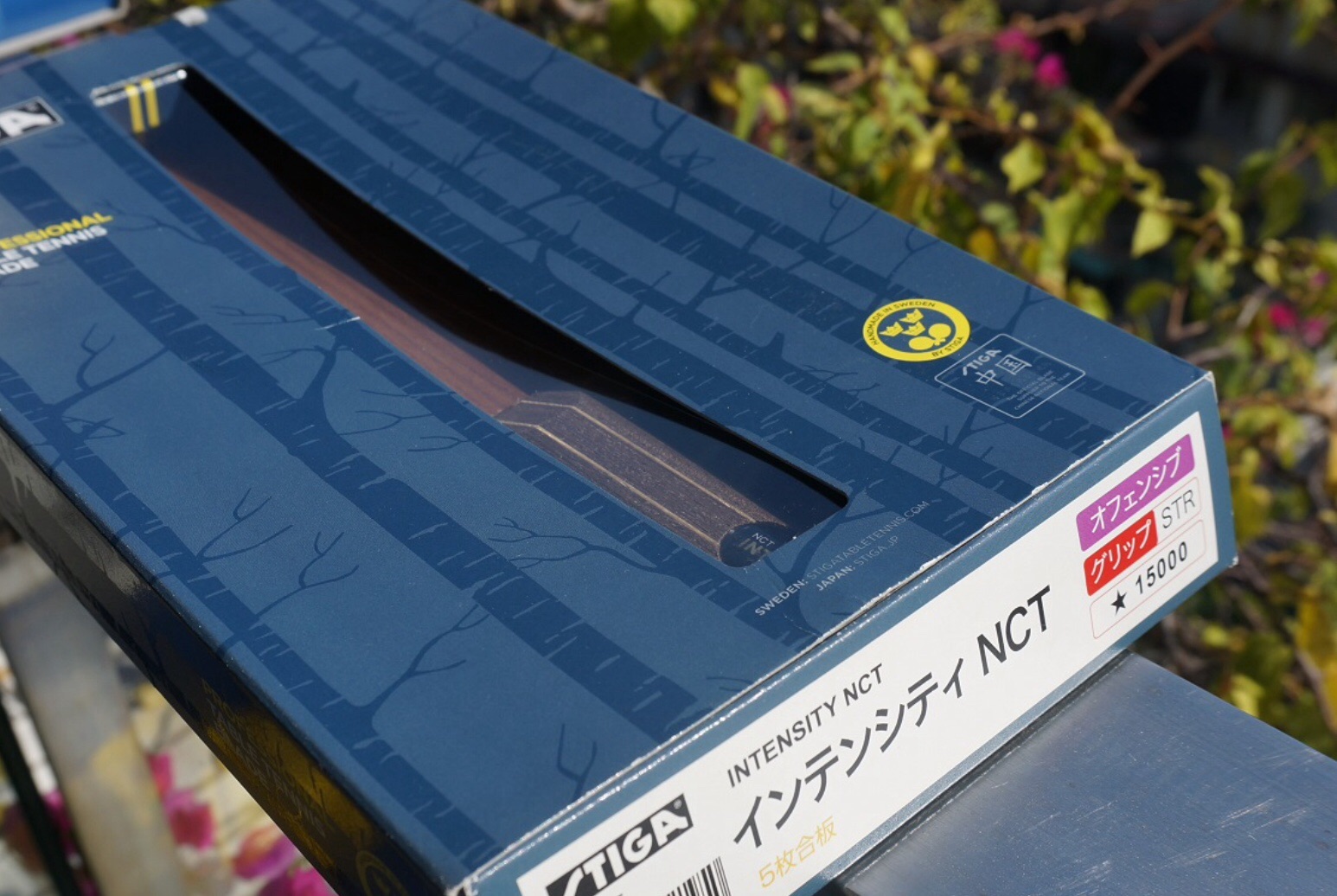 ���հ漫ǿ��ľ