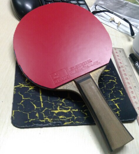 ����������ȫ�½�Ƥ�����