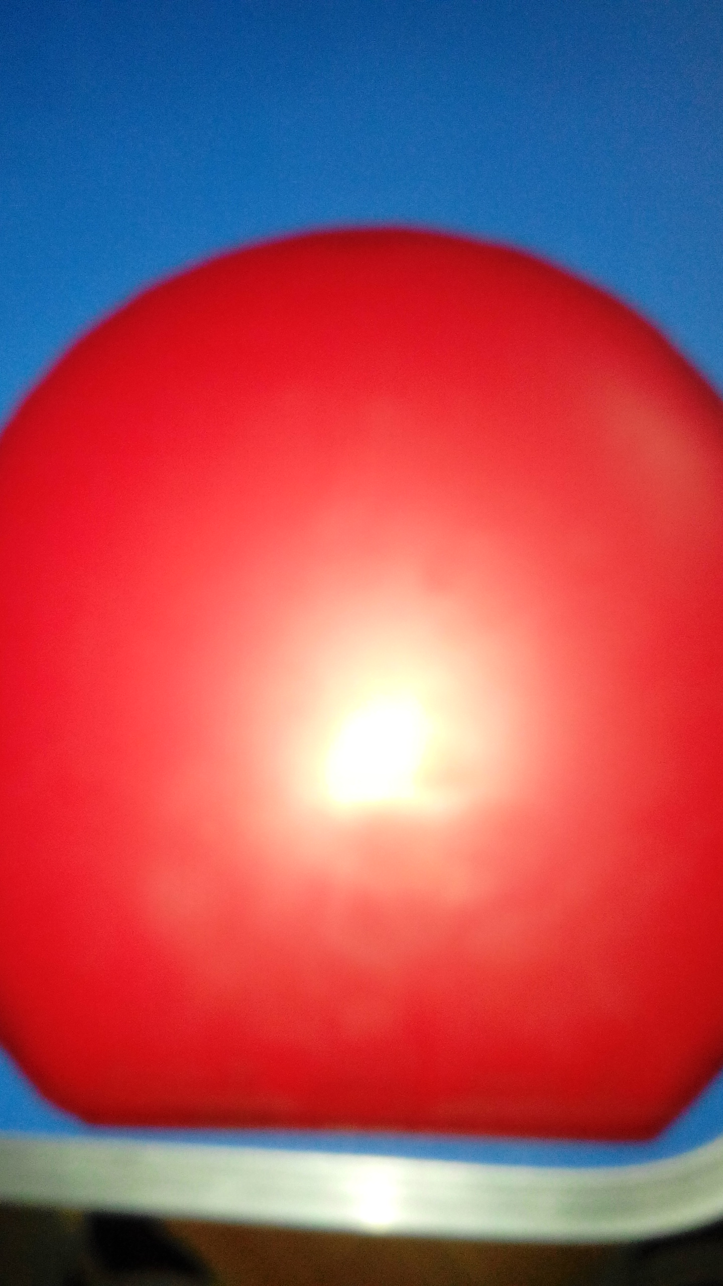 ʡ ˹EL