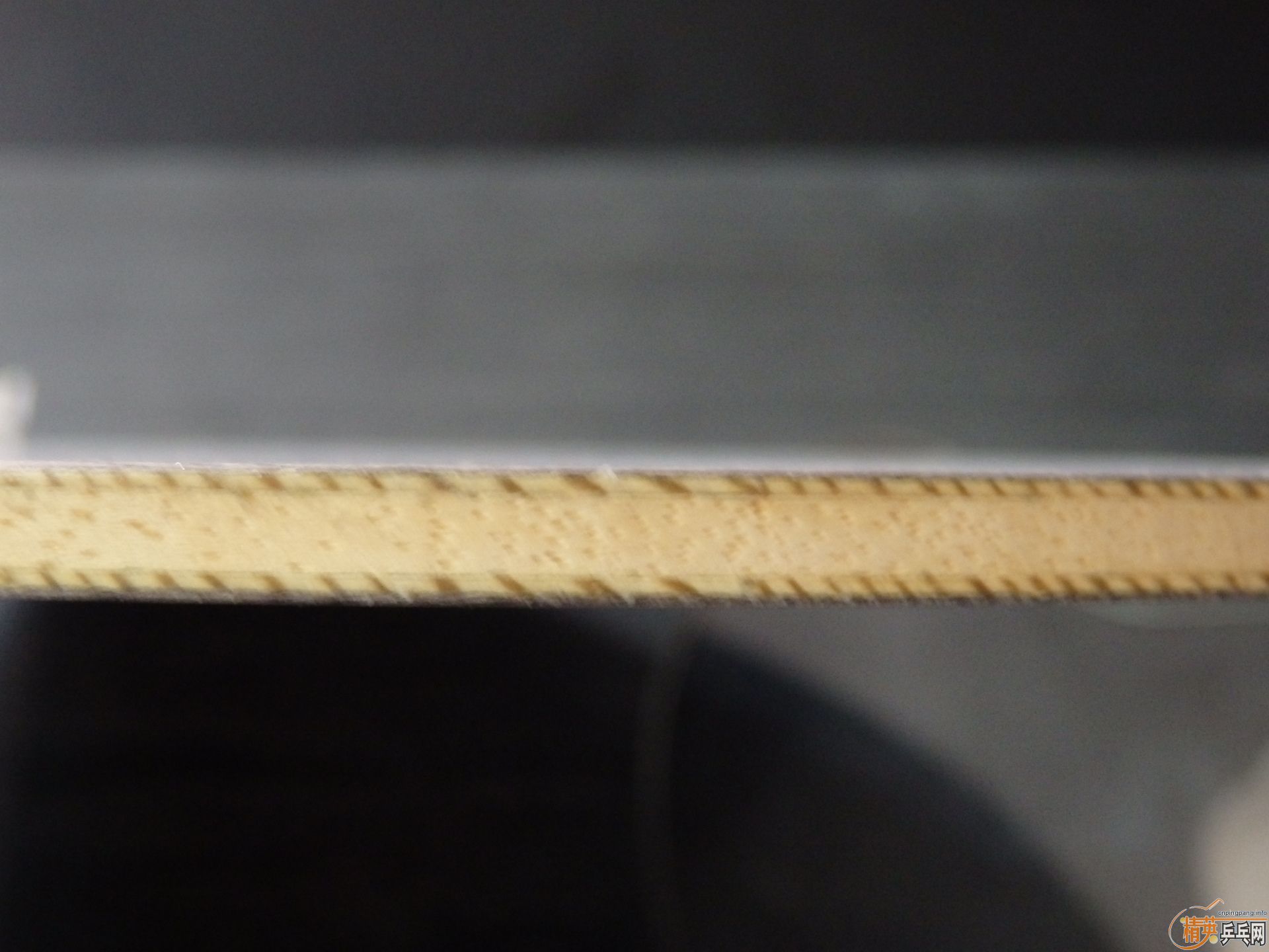 �̿����� ��ʵ��꾫ѡ��ƷƷ�����л�����ʿ��54 ֧��������