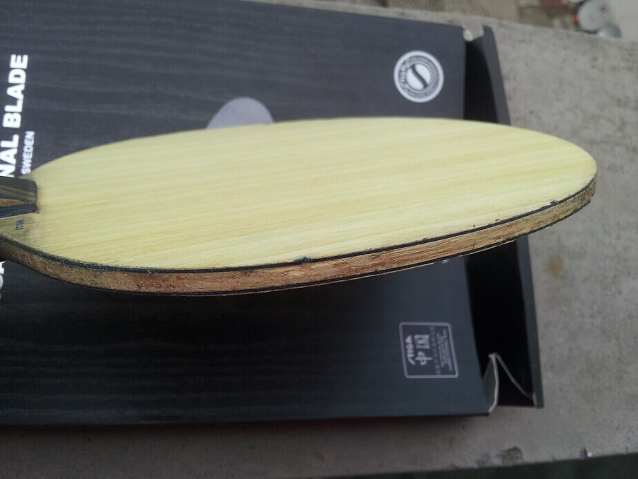 [�Ƽ�]  ��һ���л� STIGA EG