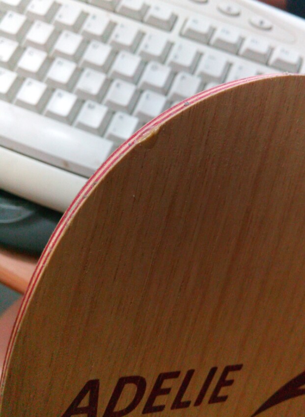 ����FL  480����