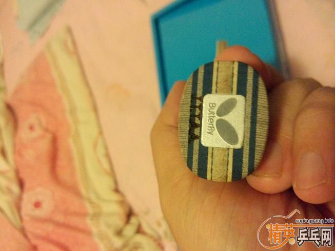 [ԭ��]����ֻ�Դ���20���ӵġ����������