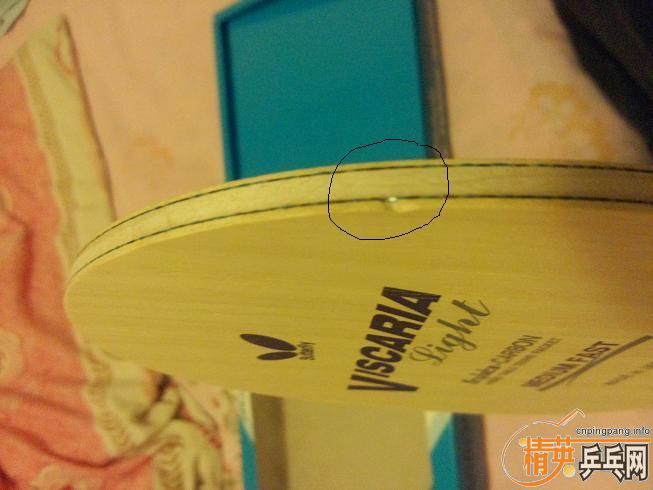 [ԭ��]����ֻ�Դ���20���ӵġ����������