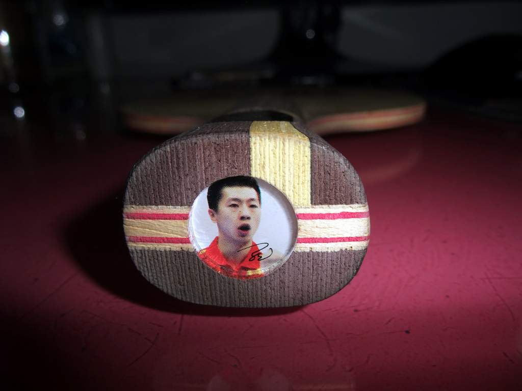 [ԭ��]��һ��ֻ������ε�����89�ˣ�