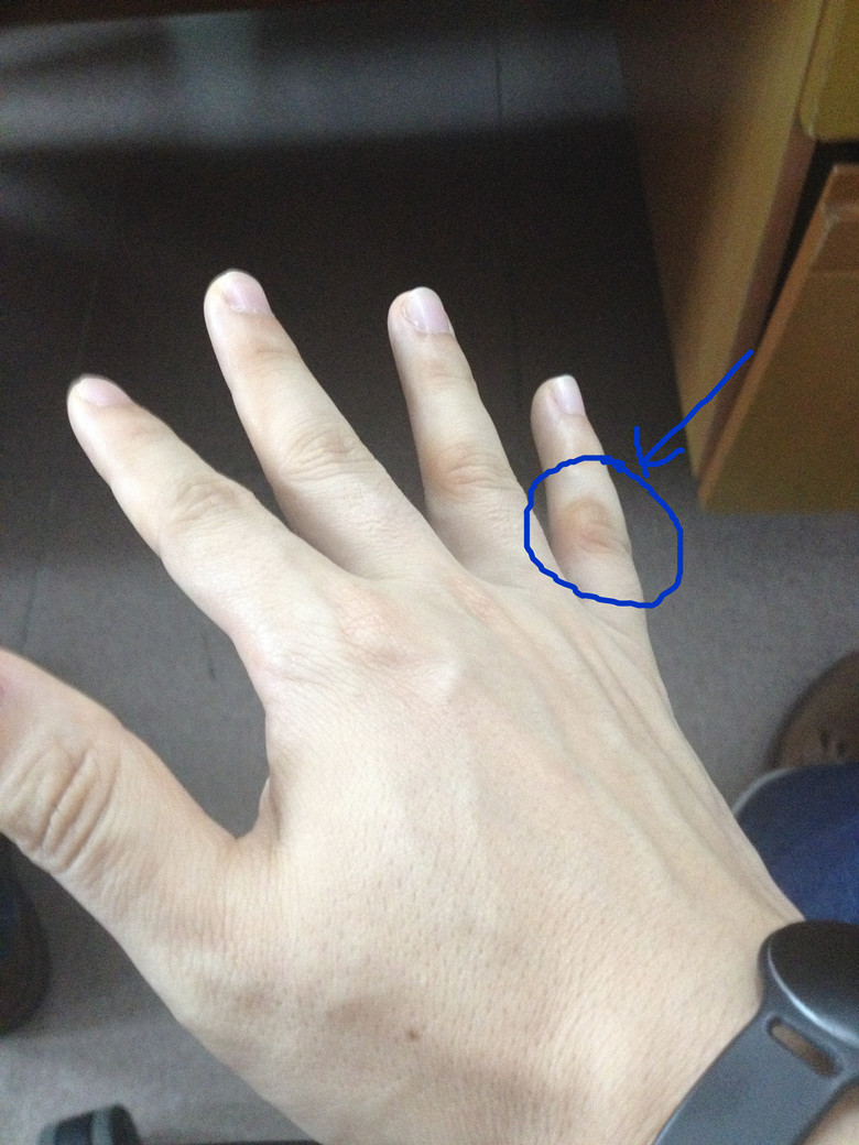 [����]���������������ϼ�