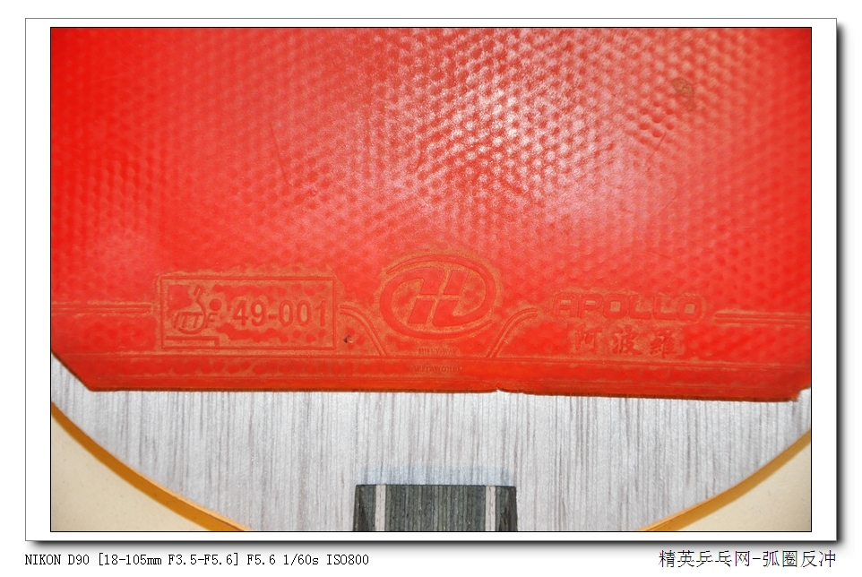 ����רערҵ������������֣�7�����ʡ��רҵ������