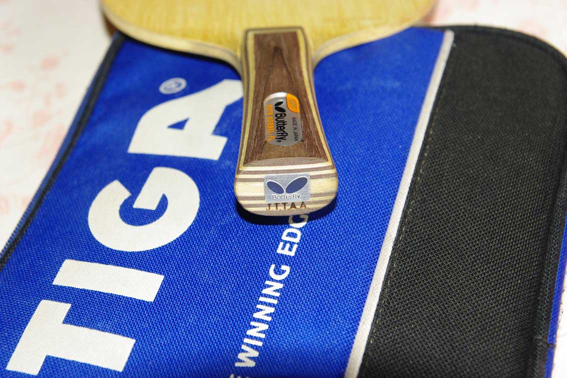 �ó�ɫ�ĿƱ���