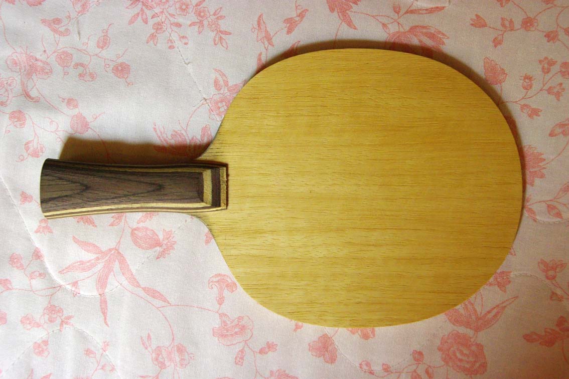 �ó�ɫ�ĿƱ���