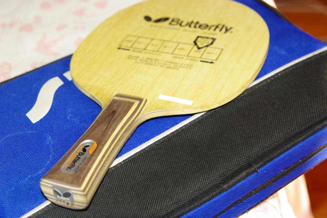 �ó�ɫ�ĿƱ���