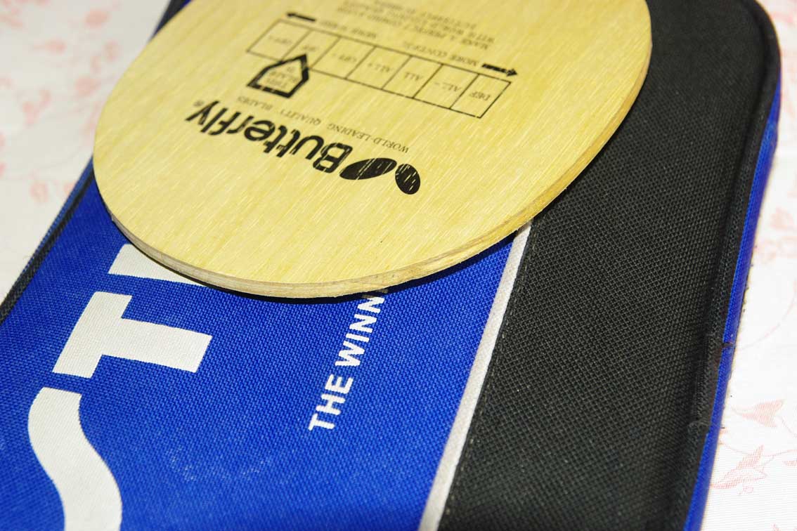 �ó�ɫ�ĿƱ���