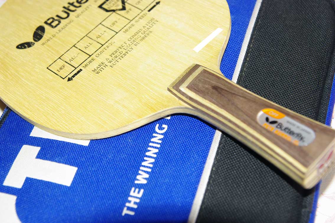 �ó�ɫ�ĿƱ���