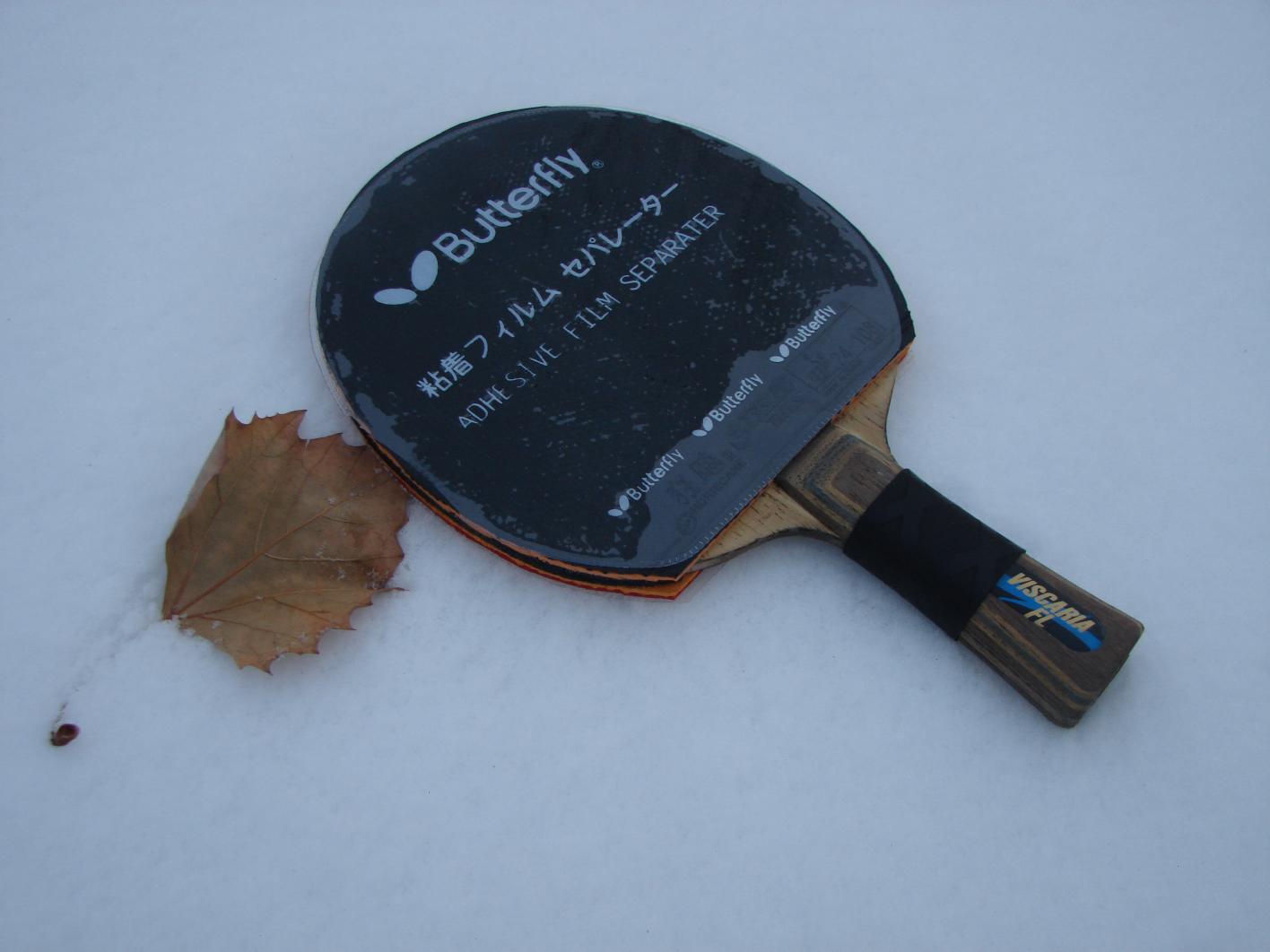 ��������VIS