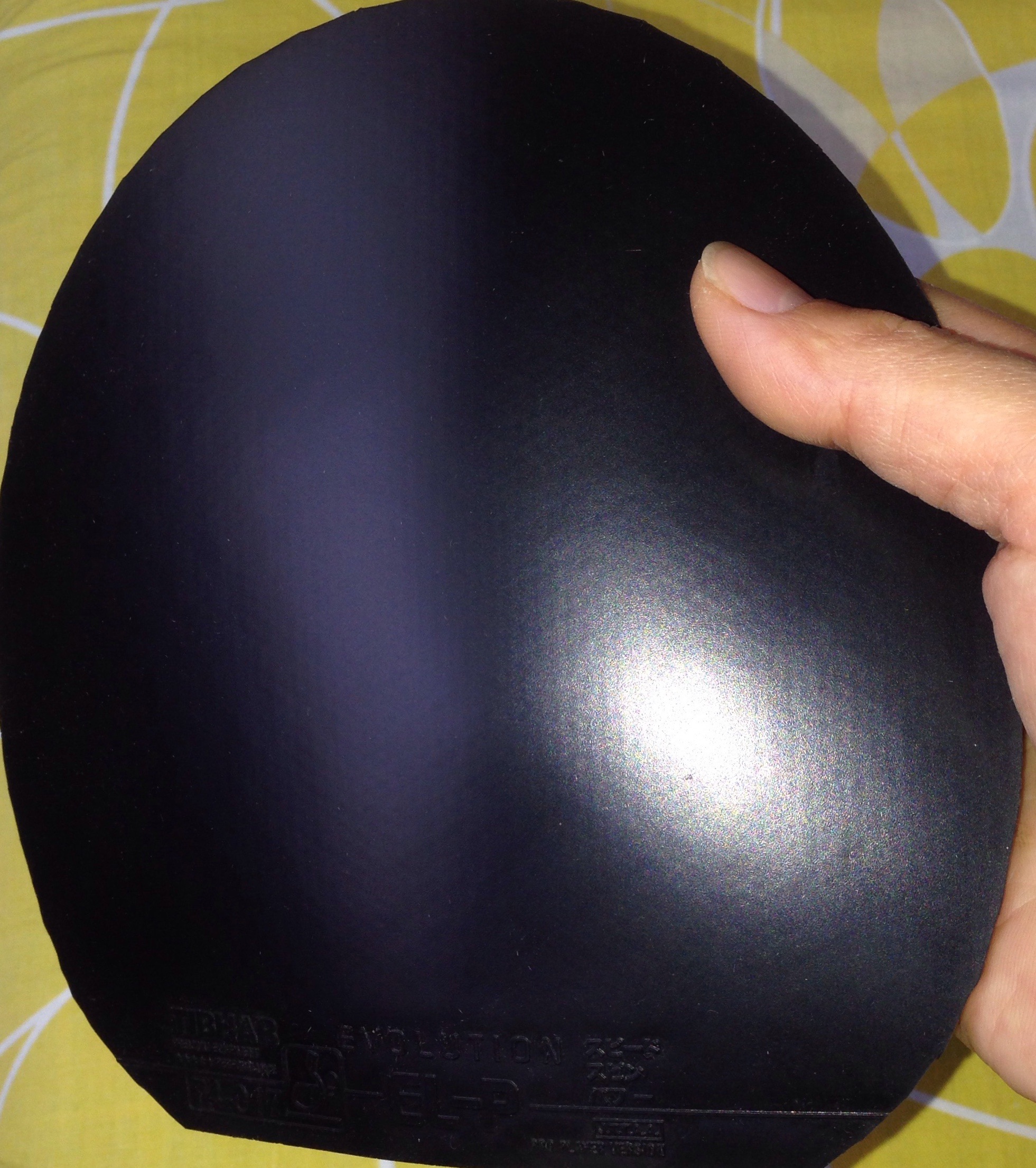 ����ɫELP�������Ű���!��ɫ��ͼƬ!Q1287128456