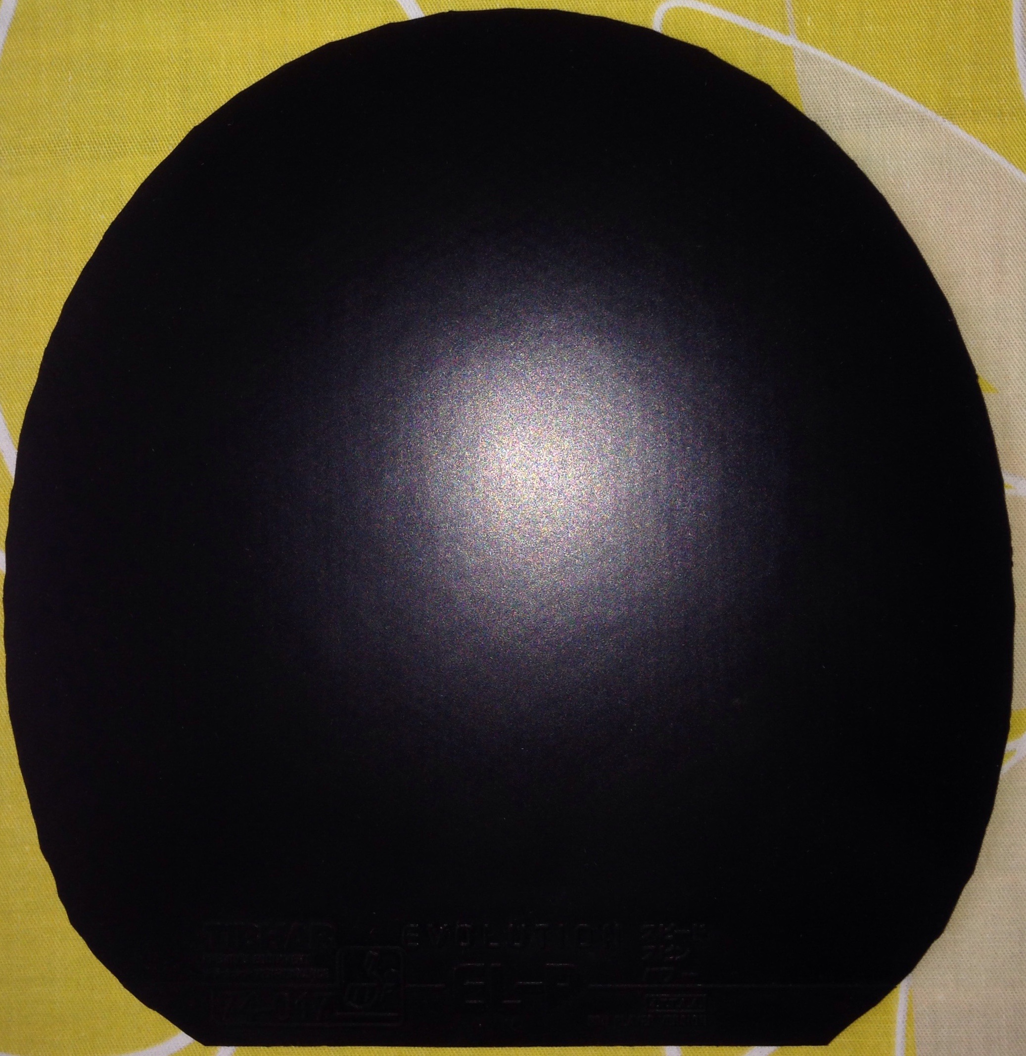 ����ɫELP�������Ű���!��ɫ��ͼƬ!Q1287128456