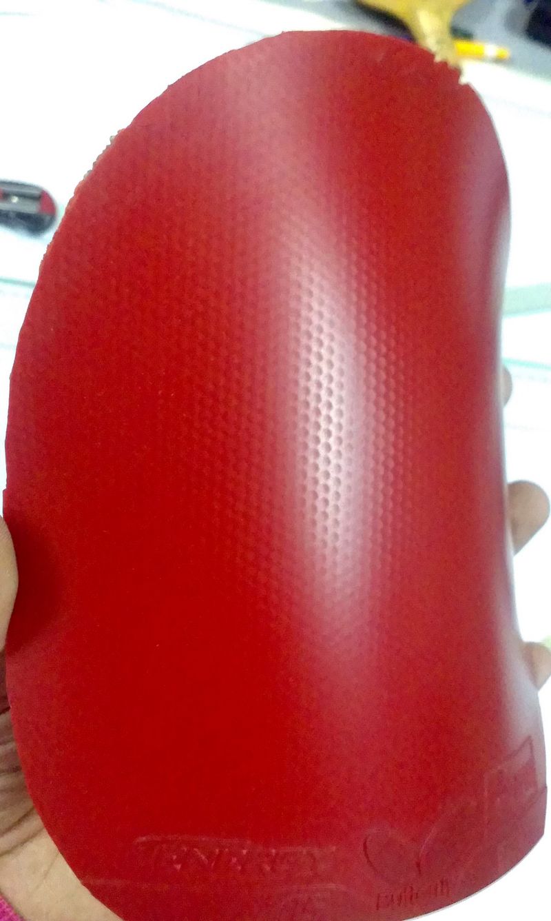 ���ۣ����TSP ASTRON BLUE FL������JOOLA����71100 ���� ����OCTOPUS������T05����(��˫ϲ��8��