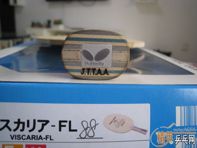 �����˼��ε��հ����VIS