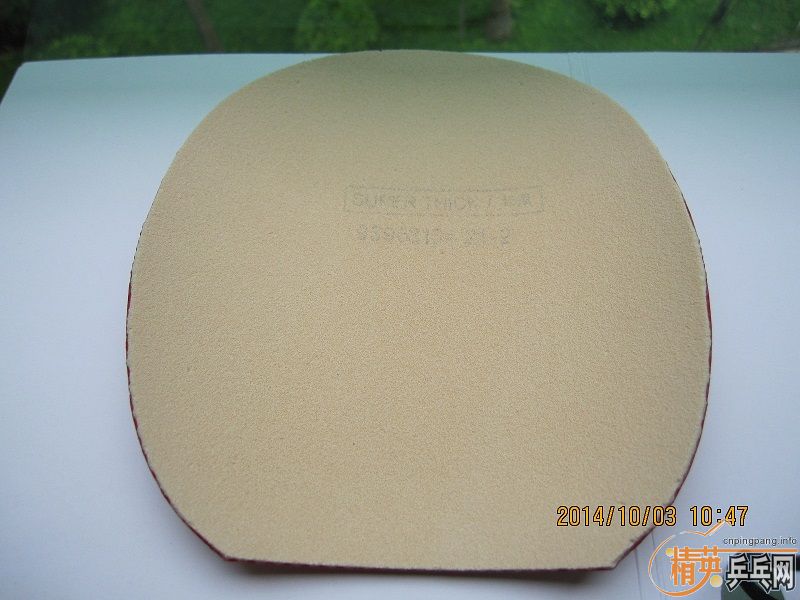 ��һ��9.5����neo����