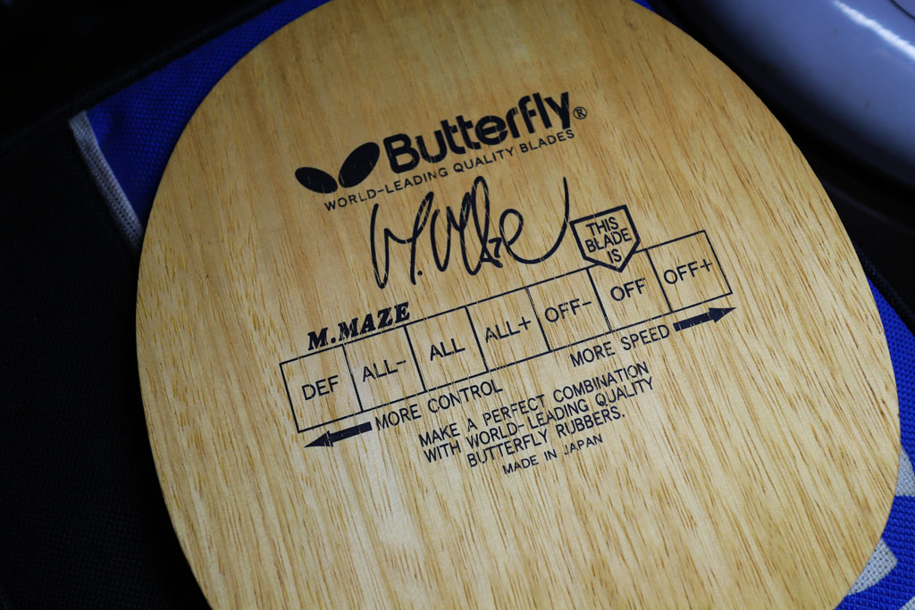 ��������MAZE