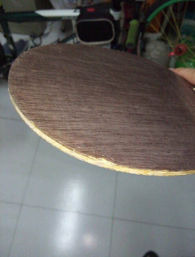 ײˣstiga̼OC250
