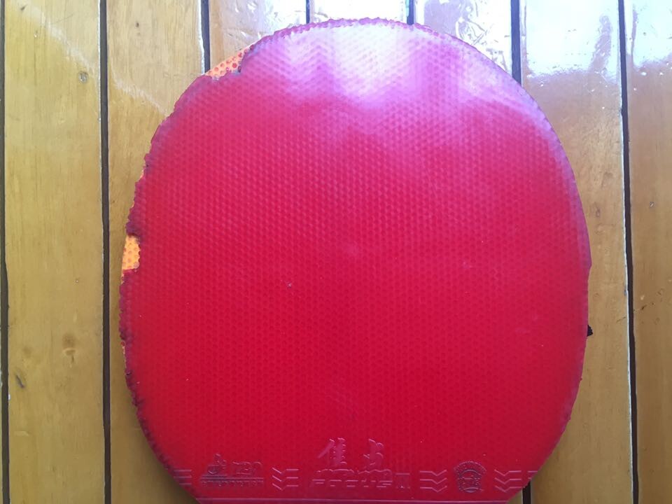 ɫܺõĿ37292
