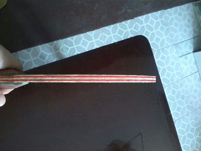 STŷ��CL��Ǯ��������̼��